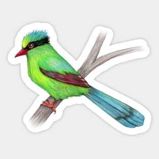 Green magpie pencil drawing Sticker